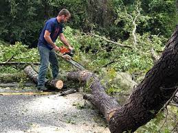 Mulching Services in Clark Mills, NY